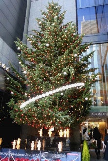 クリスマスツリー